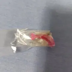 ポケモン めじるしアクセサリー シャリタツ