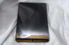 Apple iPad mini第五世代 256GB WiFi+Cellular