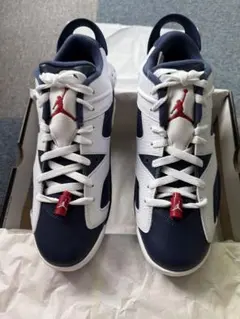 ナイキ エアジョーダン6 レトロG ゴルフシューズ26.5cm