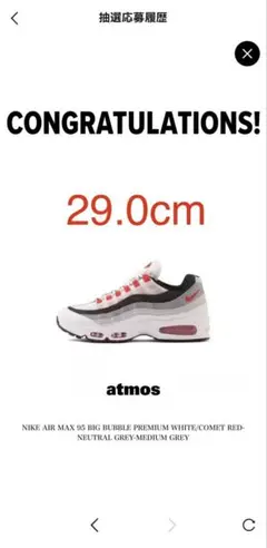 NIKE AIR MAX 95 エアーマックス 95 赤グラデ Comet