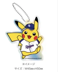 【非売品】中日ドラゴンズ ポケモン オーロラアクリルキーホルダー
