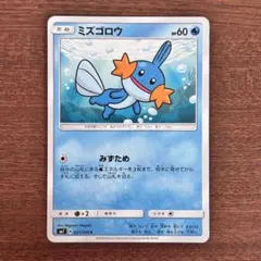 ポケパークのミズゴロウ HP60 - メルカリ
