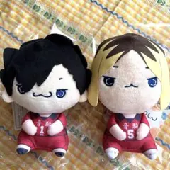 ハイキュー!! もちぴこぬいぐるみ②セット