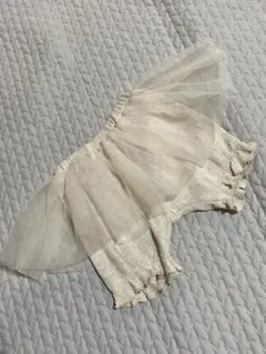 Item thumbnail for item 5bf0355c-f4e2-4d01-8e80-71fdd6d92c04