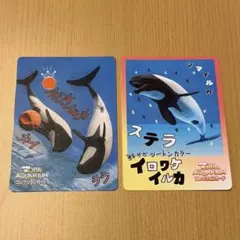2026年最新】鳥羽水族館カードの人気アイテム - メルカリ