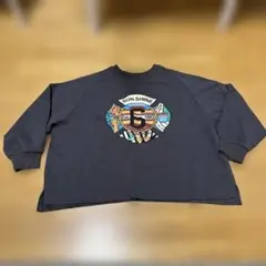 Item thumbnail for item b8173630-6856-491e-902d-2c896660963e