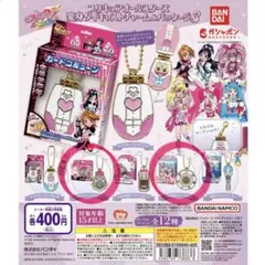 プリキュアオールスターズ 変身ダイキャストチャーム＆パッケージ3