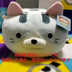 Item thumbnail for item e653c282-9d54-45fa-8aa2-f39830dbf1e6