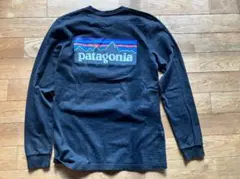 パタゴニア PATAGONIA コットン グラフィック Tシャツ XS