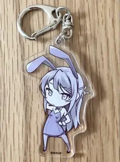 【早い者勝ち】 青ブタ展　ご当地アクリルキーホルダー　全種類コンプリート GOODS グッズ｜青春ブタ野郎はスクールメモリーの夢を見ない -青