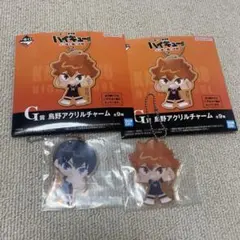 ハイキュー　一番くじ　ゴミ捨て場の決戦　アクリルチャーム　烏野　日向　影山