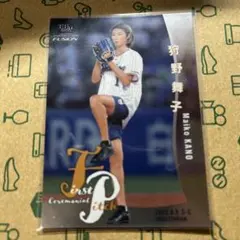 Item thumbnail for item 022f9a23-b991-4c95-b747-b0474cf35565