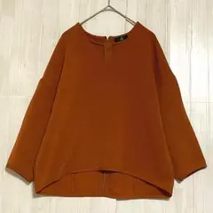 イネド　Vネックバックハーフジップ チュニック　ブラウン　9 / M