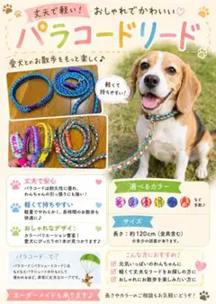 パラコードダブルリード 多頭用リード パステルレインボー No.0175