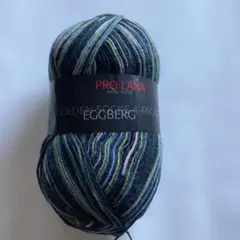 ⭐︎1893 PRO LANA. 海外ソックヤーン　中細