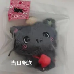 NCTWISH リク クリ wishdoll