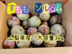 すもも　ソルダム　山梨県産　大容量3kg程度　訳あり商品のサムネイル