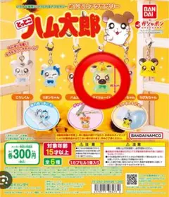 とっとこハム太郎 タイショーくん　めじるしアクセサリー