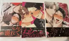 悠と晴1.2巻 箱庭のアンバー 3点セット