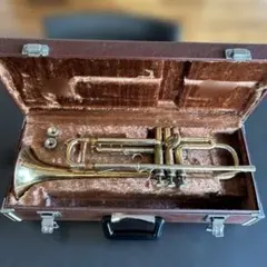 Item thumbnail for item 859bf6a8-5663-4ee8-ac70-b7d44278bf51