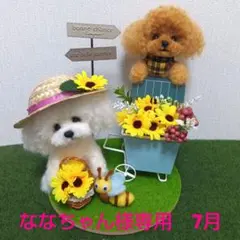 羊毛フェルト　トイプードル　ななちゃん様専用　7月