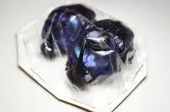 ボナリエンシスオオニジダイコクpr　ブルー系　大型　パッキング標本 2025年最新】標本 ニジダイコクの人気アイテム - メルカリ