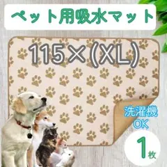 Item thumbnail for item 3b7b94ba-1402-4520-a07a-14c949d2a06c