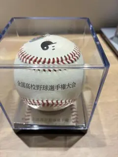 甲子園 第73回全国高等学校野球選手権大会記念ボール - メルカリ