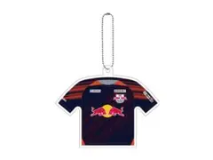 大宮アルディージャ　抗菌・消臭キーホルダー FP1st