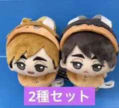 ハイキュー!! ちびぐるみ アニマルポンチョ vol.3 宮侑 宮治