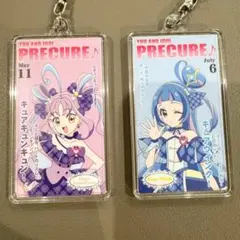 キラッキランランフェスタ　雑誌風キーホルダー キュアウインク キュアキュンキュン