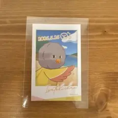 Free! 岩美 京アニ フォトカード 特典 イワトビちゃん