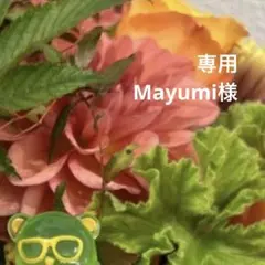 Mayumi様 リクエスト 2点 まとめ商品