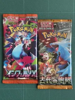 たぶんノーマルのパックですセット