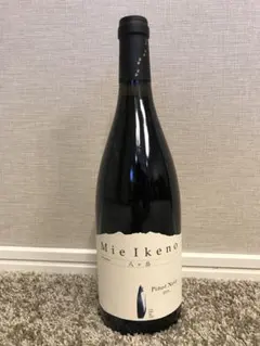 2025年最新】ミエイケノ ピノノワールの人気アイテム - メルカリ