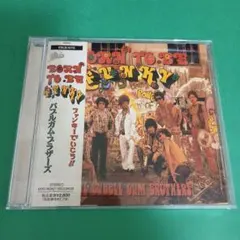 b931 バブルガム・ブラザーズ/ボーン・トゥ・ビー・ファンキー