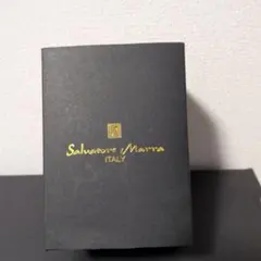 Salvatore Marra ムーンフェイズ 腕時計