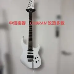2026年最新】ギター COBRANの人気アイテム - メルカリ