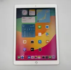 iPad Pro 第2世代 12.9inch Wi-fi 64G BT 94%