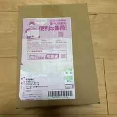 ポケセン産バトルパートナーズ【即日発送】