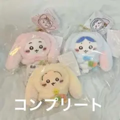 usac様専用