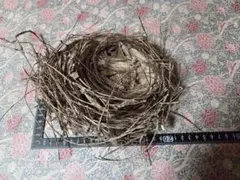 Item thumbnail for item 49d53696-ceee-4638-83ad-47989205070a