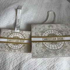 【美品】2枚CHRISTIAN DIOR ショッパー