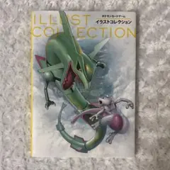 希少 廃盤 美品 ポケモンカードゲーム イラストコレクション ポケカ