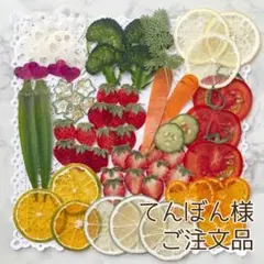 りんご王子⭐️プロフご確認ください様 専用ページ - メルカリ