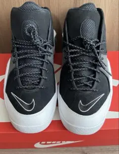 NIKE AIR ZOOM FLIGHT 95 2022年モデル　28.0美品