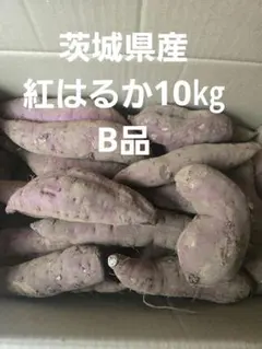 茨城県産 さつまいも 紅はるか 土付き