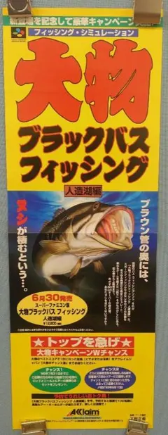 珍品 アクレイムジャパン 大物ブラックバスフィッシング 短冊両面ポスター