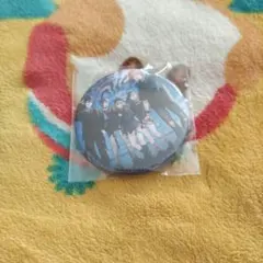 【店舗特典のみ】【ジャケット柄】11th　ヘイヴン　ビビバス 缶バッチ