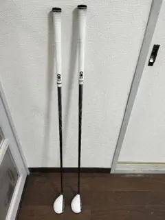 Item thumbnail for item e86c37ce-03ae-4236-af34-51fbfc5acb9f